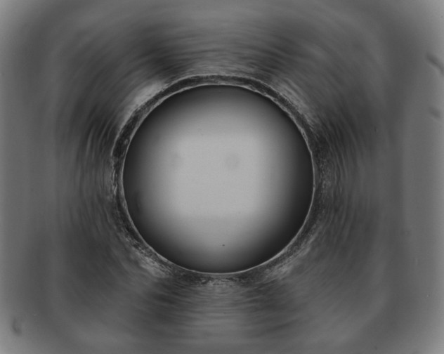 X0000091700974200708311049