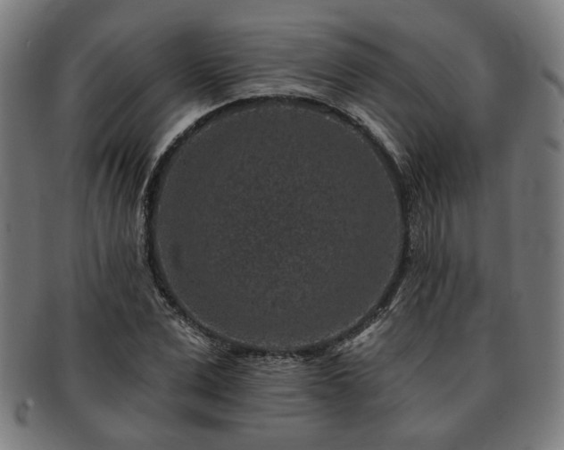 X0000091700975200708311049