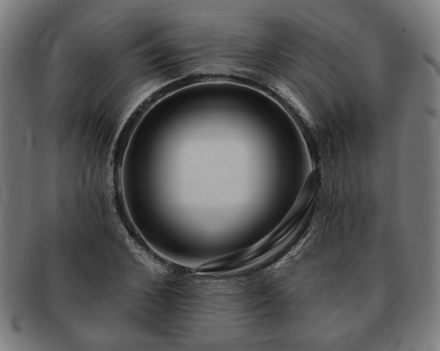 X0000091700976200708311049