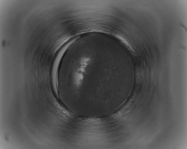 X0000091700977200708311049