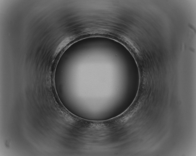 X0000091700978200708311049
