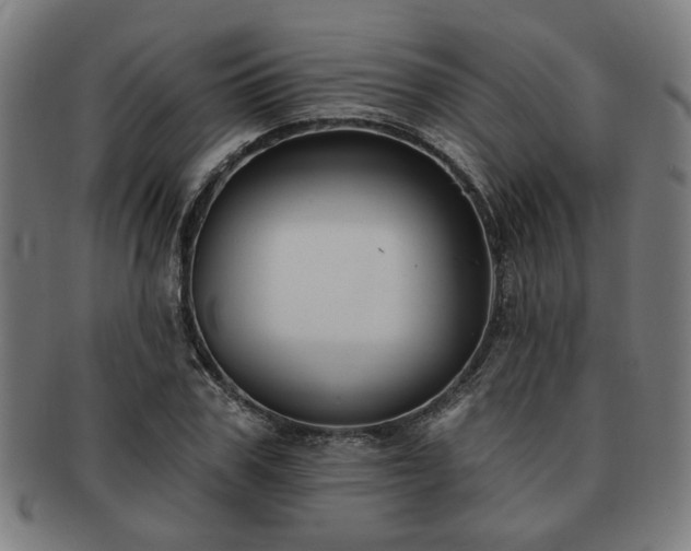 X0000091700979200708311049