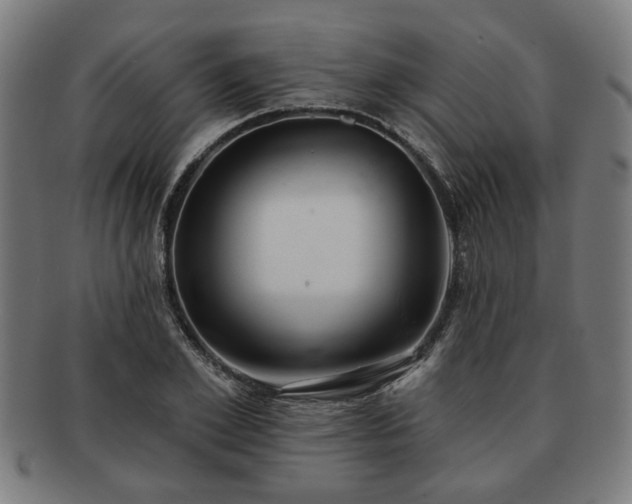 X0000091700981200708311049