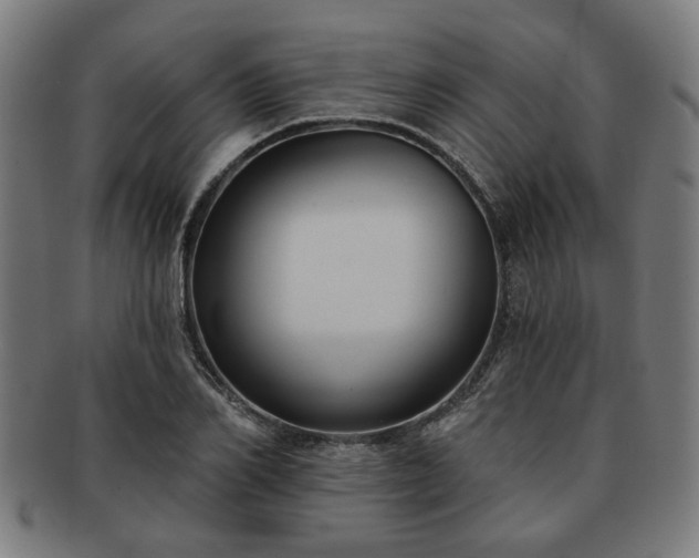 X0000091700982200708311049