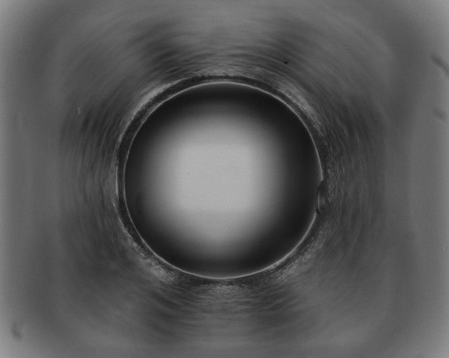 X0000091700984200708311049