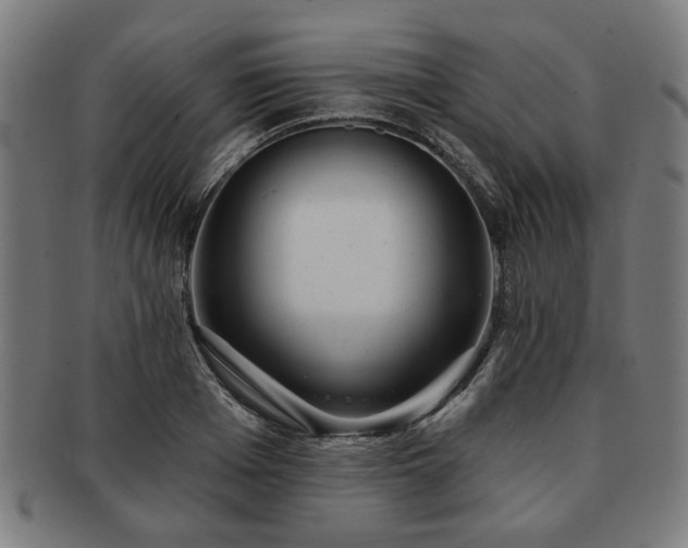 X0000091700985200708311049