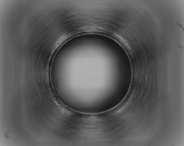 X0000091700986200708311049