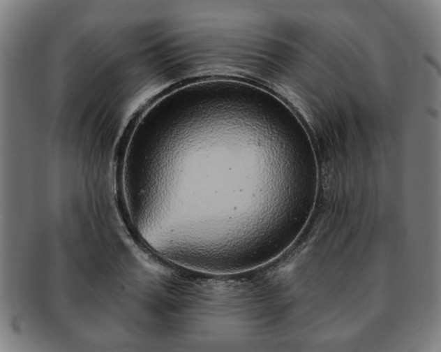 X0000091700987200708311049