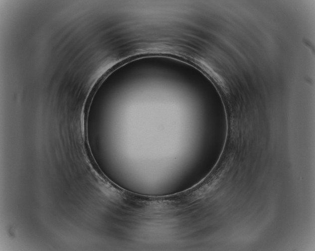 X0000091700988200708311049