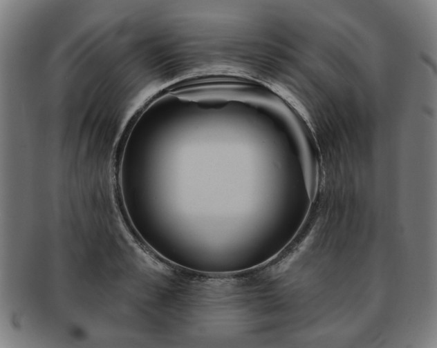X0000091700989200708311049