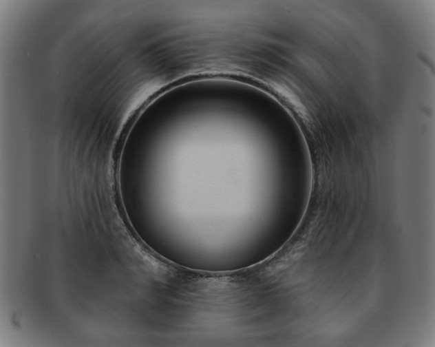X0000091700990200708311049
