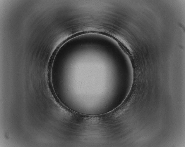 X0000091700991200708311049