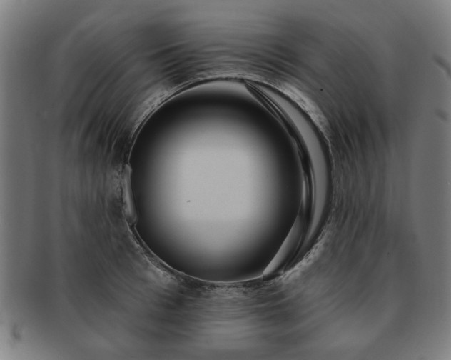 X0000091700993200708311049