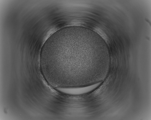 X0000091700994200708311049