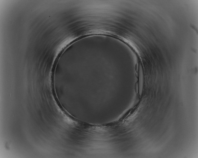 X0000091700995200708311049