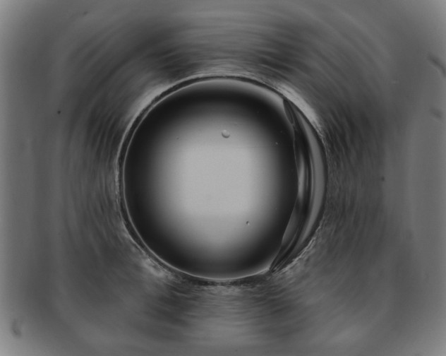 X0000091700996200708311049
