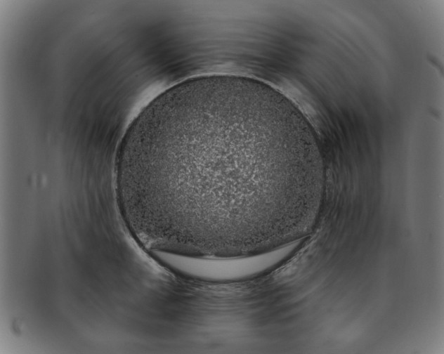 X0000091700998200708311049