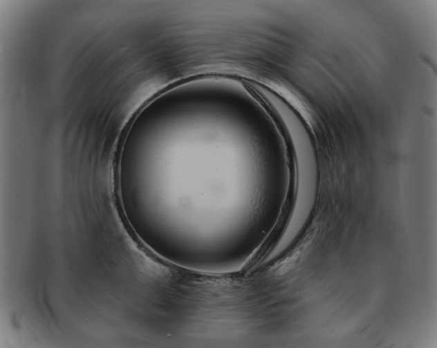 X0000091700999200708311049