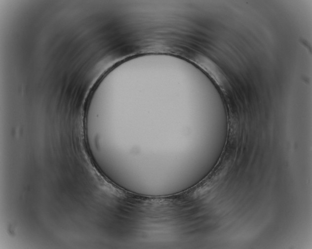 X0000091701000200708311049