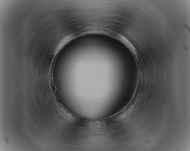 X0000091701002200708311049