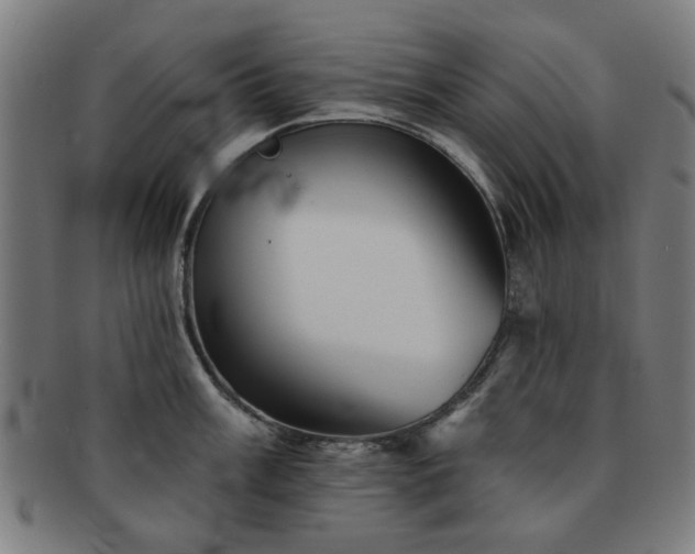 X0000091701003200708311049