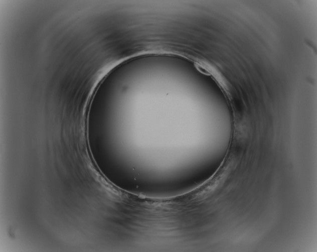 X0000091701004200708311049