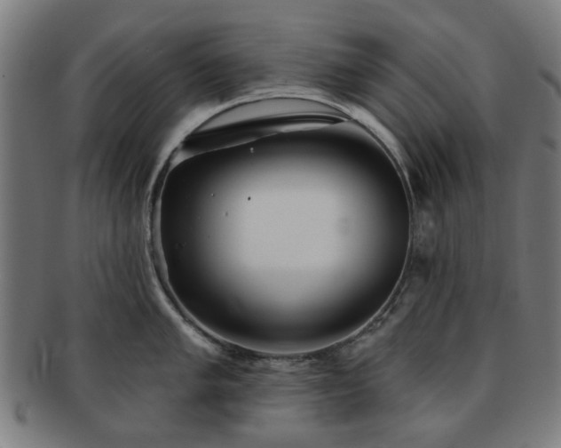 X0000091701005200708311049