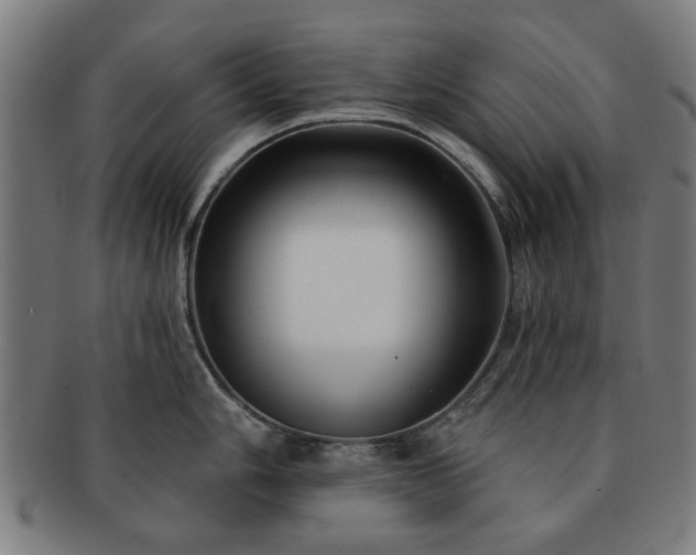 X0000091701006200708311049