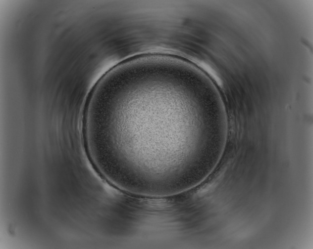 X0000091701007200708311049