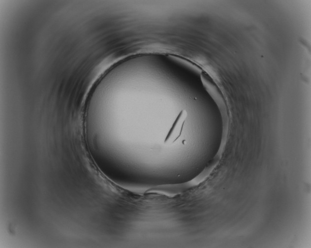 X0000091701008200708311049