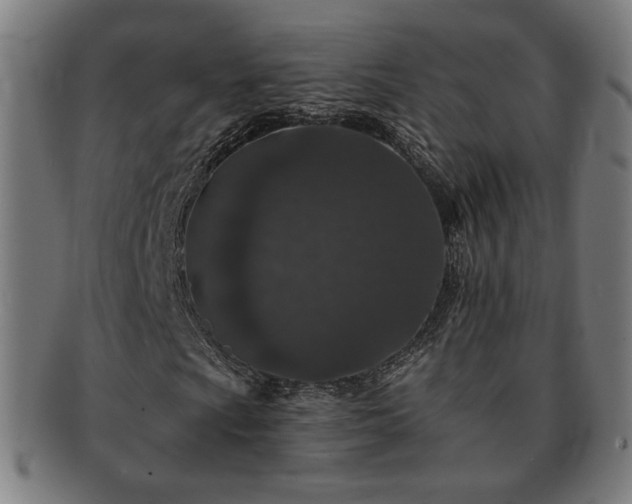 X0000091701009200708311048