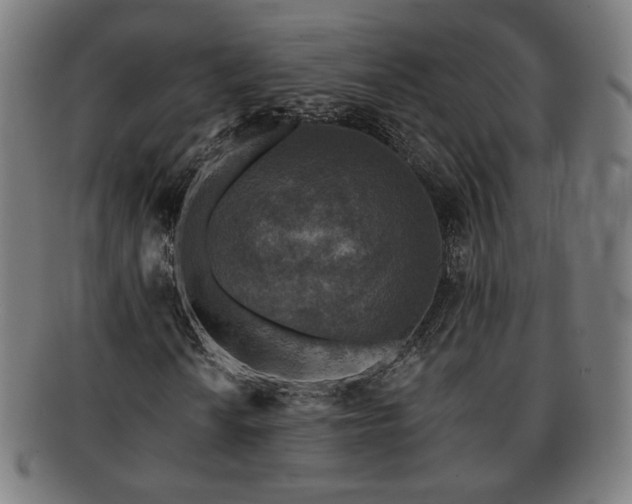 X0000091701010200708311048