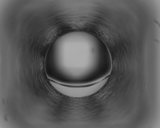 X0000091701012200708311048