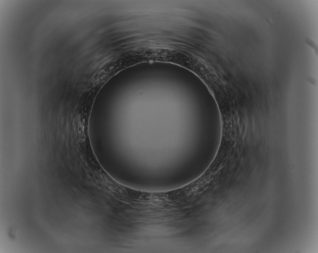 X0000091701013200708311048