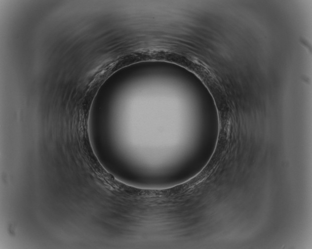 X0000091701014200708311048