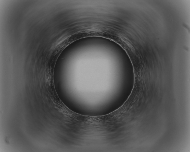 X0000091701015200708311048