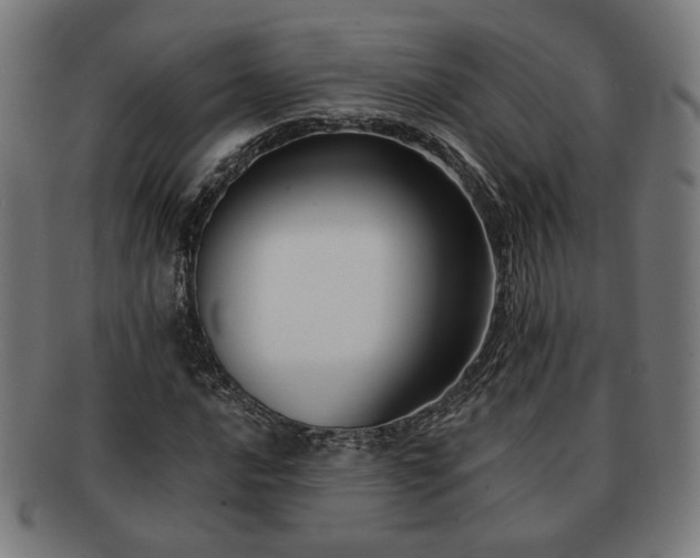 X0000091701016200708311048