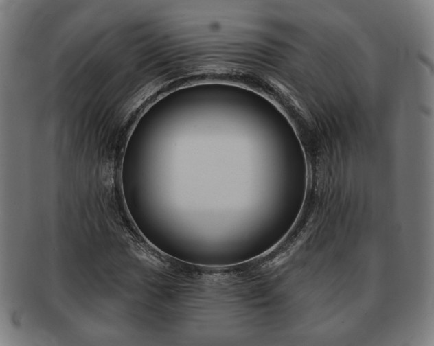 X0000091701017200708311048