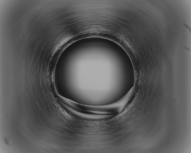 X0000091701018200708311048