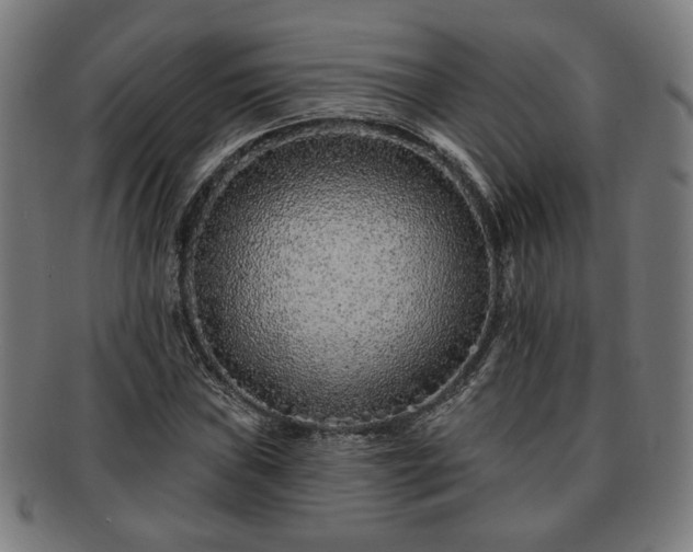 X0000091701019200708311048