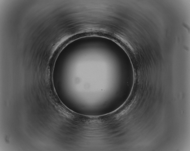 X0000091701021200708311048