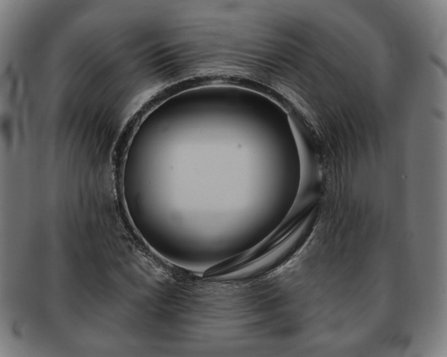 X0000091701022200708311048