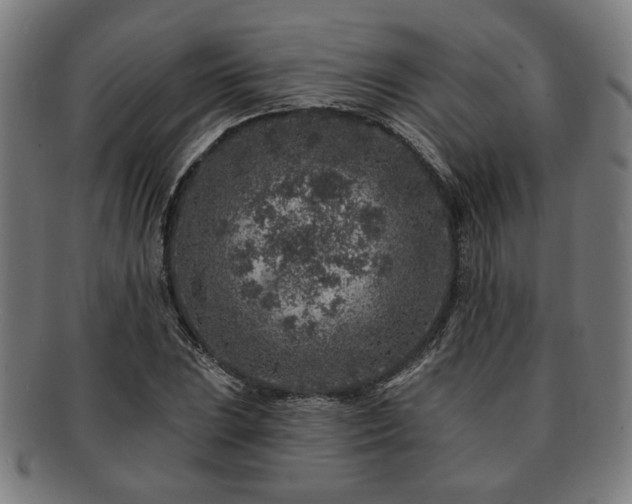X0000091701023200708311048
