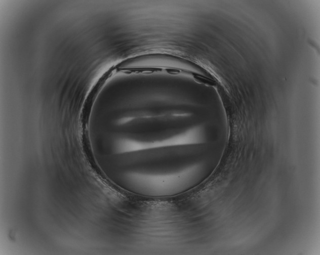 X0000091701024200708311048