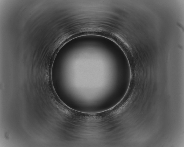 X0000091701025200708311048