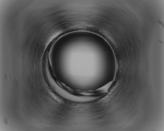 X0000091701026200708311048