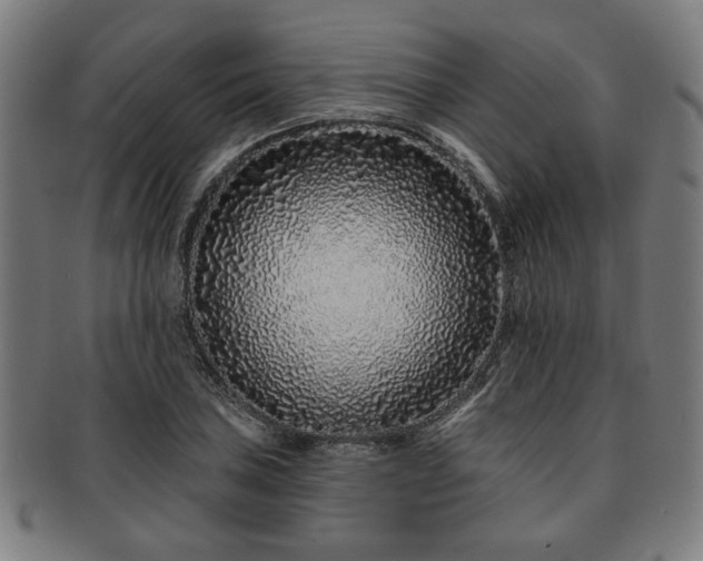 X0000091701027200708311048