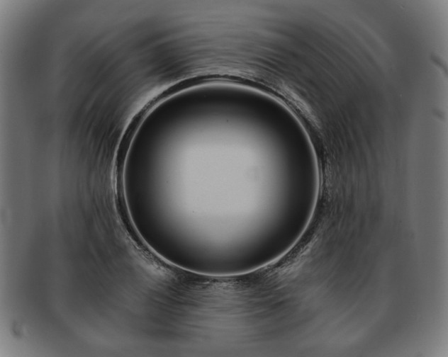 X0000091701028200708311049