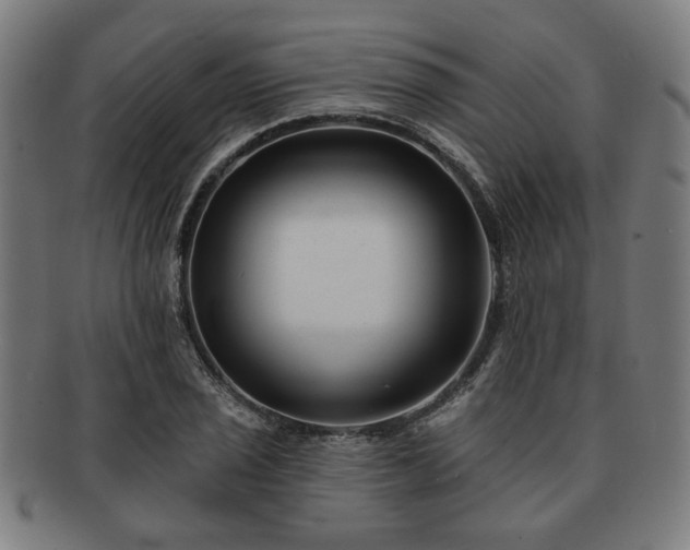 X0000091701029200708311049