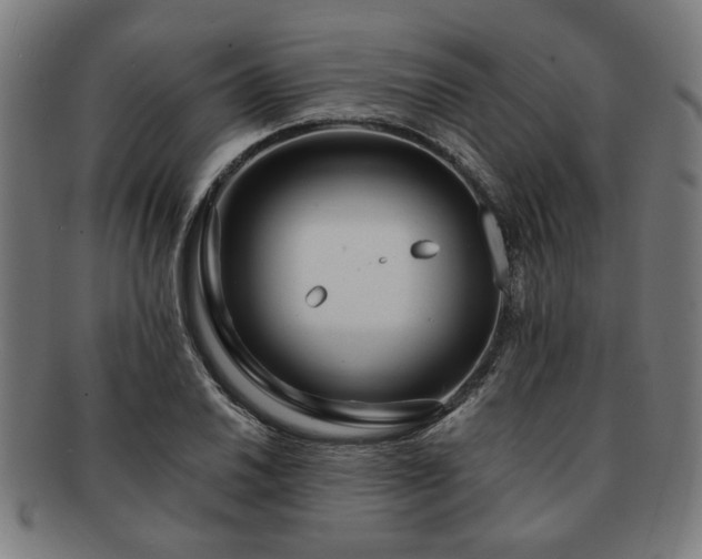 X0000091701030200708311049